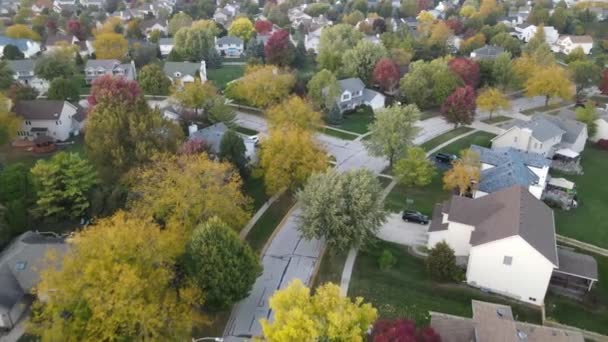 Visão Aérea Aérea Árvores Coloridas Outono Casas Residenciais Quintais Longo — Vídeo de Stock