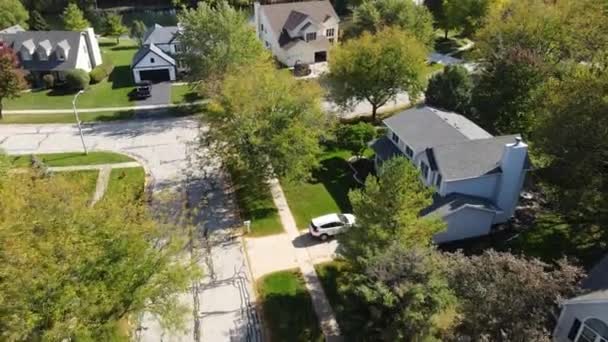 Vista Aérea Aérea Coloridos Árboles Otoñales Casas Residenciales Patios Con — Vídeo de stock