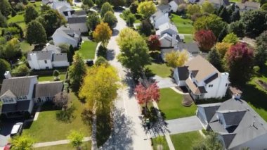 Chicago 'daki banliyö caddesi boyunca bulunan konut ve bahçelerin rengarenk sonbahar ağaçlarının yukarıdan görünüşü. Amerika 'nın orta batısında. 4K