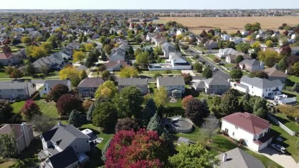 Vista Aérea Aérea Árvores Coloridas Outono Casas Residenciais Quintais Com — Vídeo de Stock
