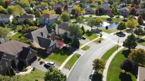 Overhead aerial view of colorful autumn trees, residential houses and yards with drainage pond along suburban street in Chicago area. Midwest USA. 4K — Stock Footage Overhead Aerial View Colorful Autumn Trees Residential Houses Yards Drainage Stock Footage