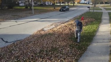 Bir banliyö caddesinde düşen sonbahar yapraklarını toplayan bir adamın hava manzarası. Amerikan banliyö mahallesi. Tek kişilik aile evleri. 4K