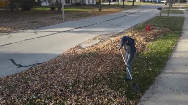 Vista Aérea Homem Que Levanta Folhas Caídas Outono Uma Rua — Vídeo de Stock