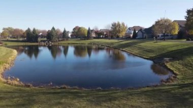 Göl yüzeyinde Kanada kazlarını rahatlatan ve yüzdüren hava manzarası. Amerikan banliyö mahallesi. 4K