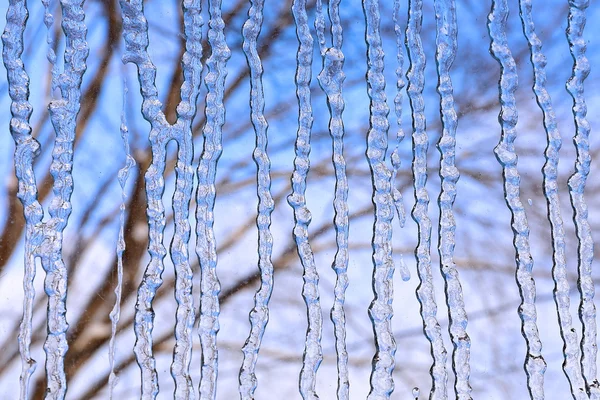 View from the window on the winter garden. Ice texture. Frozen w — Stock Photo, Image