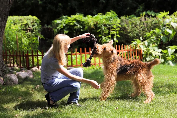 Young woman playing with her dog  airedale terrier on a summer day — Stock Photo, Image