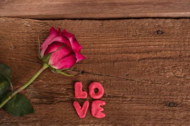 Çiçek açan bir gülün güzel tomurcuğu ve ahşap bir arka planda şehvetli harflerden yapılmış 