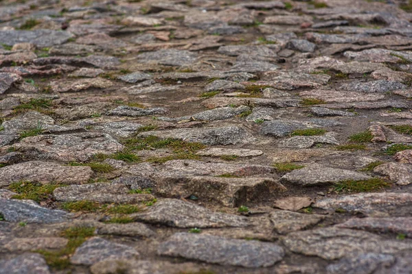 Brushwood Närbild Test För Photoshop Den Målade Glastrottoaren För Trottoaren — Stockfoto