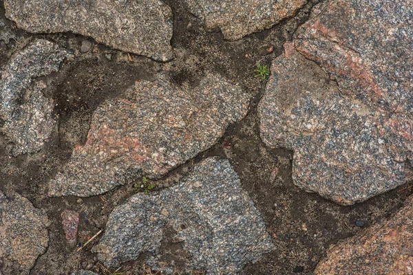 Szczotkowate Zbliżenie Test Photoshopa Witraż Chodniku Kamienie Zielona Trawa Łamie — Zdjęcie stockowe