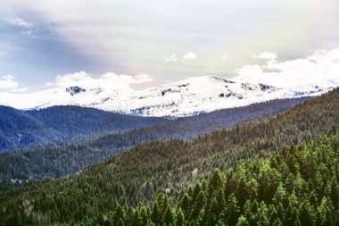 Aktif yaşam, tırmanma ve yürüyüş için en iyi yer kayalar, ormanlar ve çayırlarla dolu dağ vadisi.