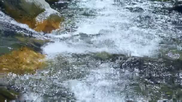 Uma Montanha Rio Limpo Com Fluxo Rápido Rápido Flui Através — Vídeo de Stock