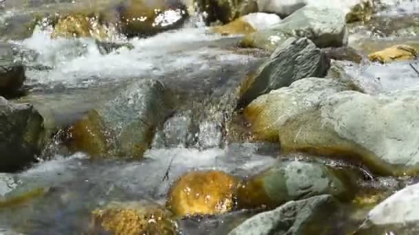 一条流过大石头的快速流过的清澈的小河 后续行动 — 图库视频影像