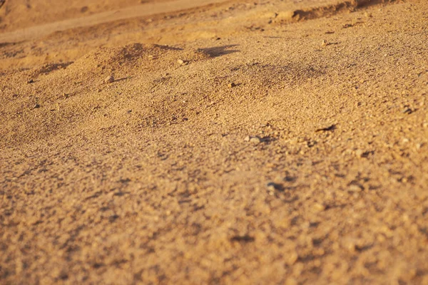 Ökensand vid solnedgången närbild. Sand struktur. Bakgrund. Ort för text — Stockfoto