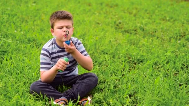 A smiling, boy blowing bubbles in a green field. A hot summer day, a cheerful European child playing with soap bubbles. — Stock Video