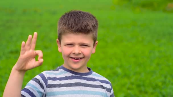 Een mooie jongen van Europees uiterlijk staat in een groen veld en toont een symbool. — Stockvideo