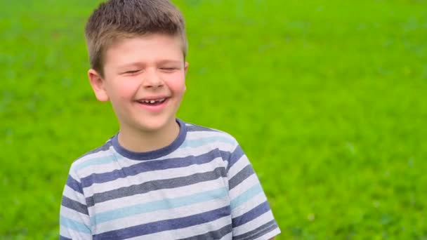 Un chico de apariencia europea se para en un campo verde y ríe. El niño demuestra emociones de alegría en su rostro — Vídeos de Stock