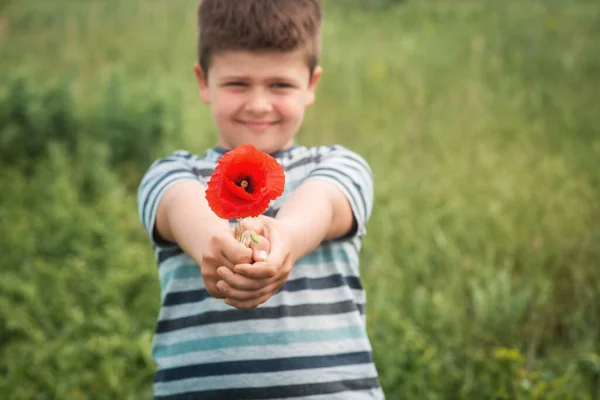 Porträt Eines Glücklichen Süßen Jungen Mit Einer Roten Mohnblume Das — Stockfoto