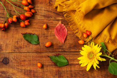 Düz kompozisyon, sarı örgü eşarp, gül kalçası böğürtlen, yapraklar ve ahşap bir masa üzerinde ayçiçeği. Sıcak sonbahar ya da kış uykusu konsepti. Metin, çerçeve, üst görünüm, kopyalama alanı, düzen için yer