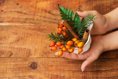Kış, sıcak atmosfer. Ellerinde ladin dalları ve ahşap arka planda gül kalçalı fincanla kompozisyon. Yeni yıl geçmişi. Düz konum, metin yeri, kartpostal, çerçeve