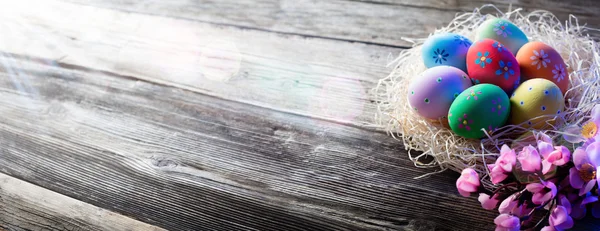 Φωλιά του διακοσμημένα αυγά σε ξύλο - Πάσχα φόντο — Φωτογραφία Αρχείου
