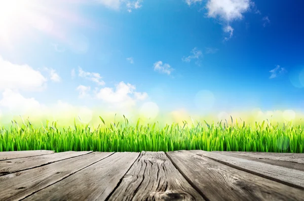 Régi asztal a fű és a napfény, a kék égen — Stock Fotó