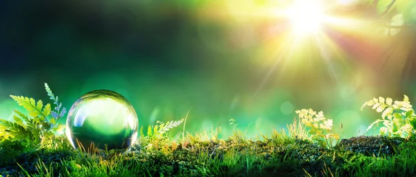 Crystal Green Globe On Moss - Concepto Ambiental —  Fotos de Stock