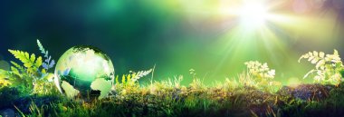 Moss - çevre kavramı üzerinde yeşil dünya