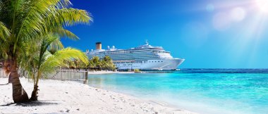 Cruise için Karayipler ile palmiye ağacı üzerinde Coral Beach