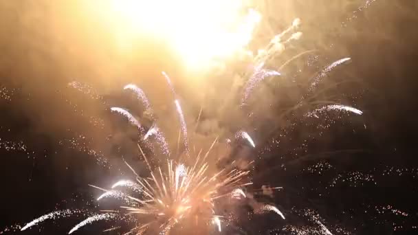 Feux d'artifice explosant dans le ciel nocturne - Festival pyrotechnique — Video