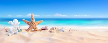 Altın kum deniz kabuğu ve denizyıldızı - tropikal deniz kıyısı ile