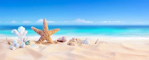 Goldener Sand mit Muscheln und Seesternen - tropische Meeresküste — Stockfoto