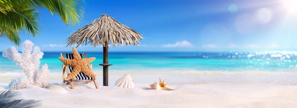 Starfish In Relaxation At The Shadow Of Palm Tree In The Tropical Beach — Stock Photo, Image