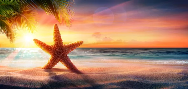 Estrela-do-mar na areia na praia tropical ao pôr do sol — Fotografia de Stock