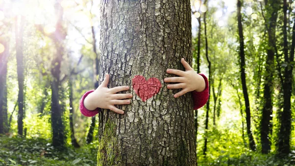 拥抱树木 爱自然 抱小孩 红心形核 — 图库照片