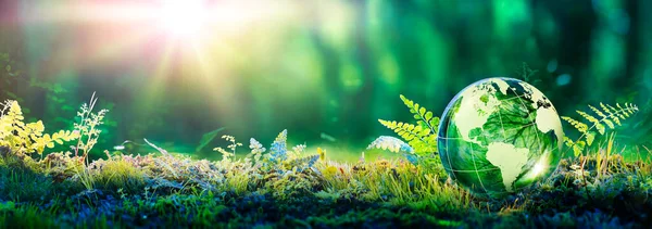 Environment Concept Hands Holding Globe Glass Green Meadow Sunlight — Stock Photo, Image