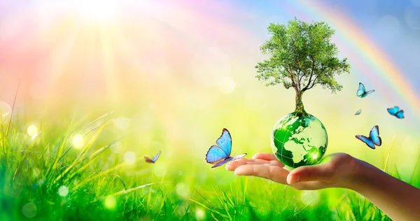 Tree Planet Environment Concept Hand Holding Green Globe Butterflies Rainbow — Stock Photo, Image