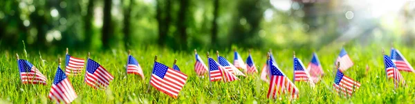 Bandiere Americane Erba Sfondo Del Memorial Day Astratto Sfocato — Foto Stock