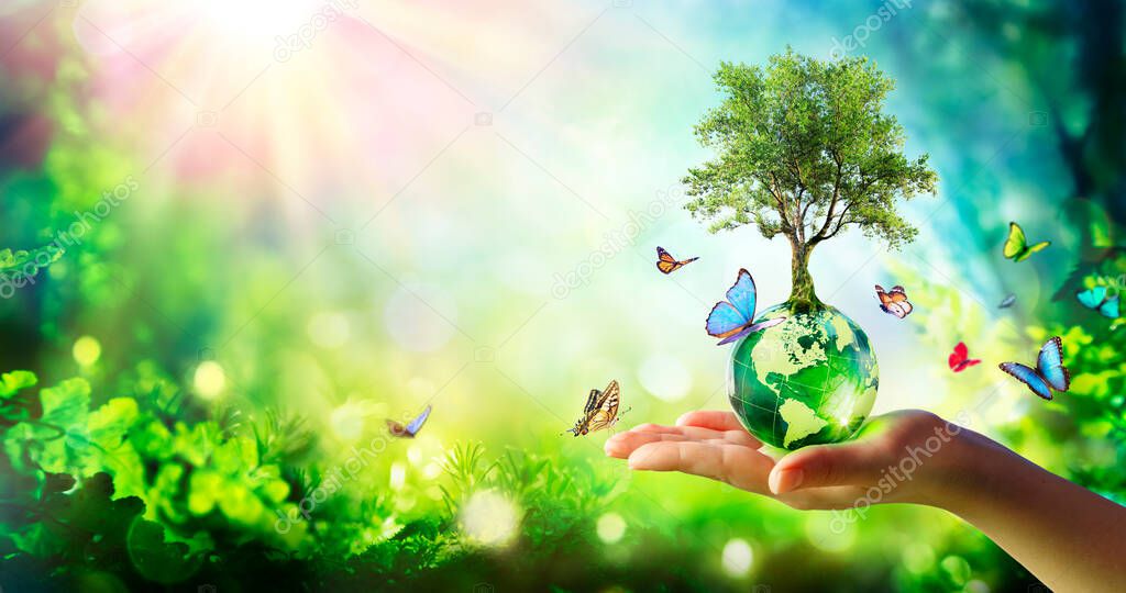 Environment - Tree Growth On Planet In Green Forest With Butterflies
