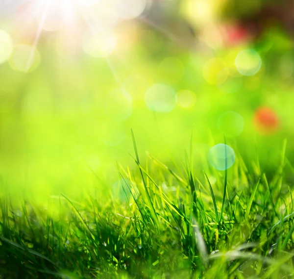 Fundo de grama verde com luz solar e borrões — Fotografia de Stock