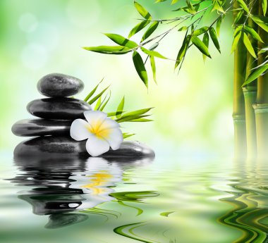 Spa Masaj uygulaması ile frangipani ve bambu Bahçe