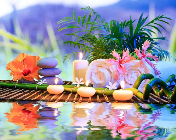 Spa bath treatment in nature for aromatherapy and relaxation — Stock Photo, Image