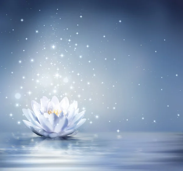 Waterlily light blue on water - fairytale background — Stock Photo, Image