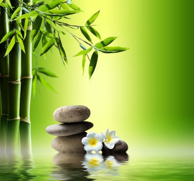 Spa arka plan bambu ve taş su ile