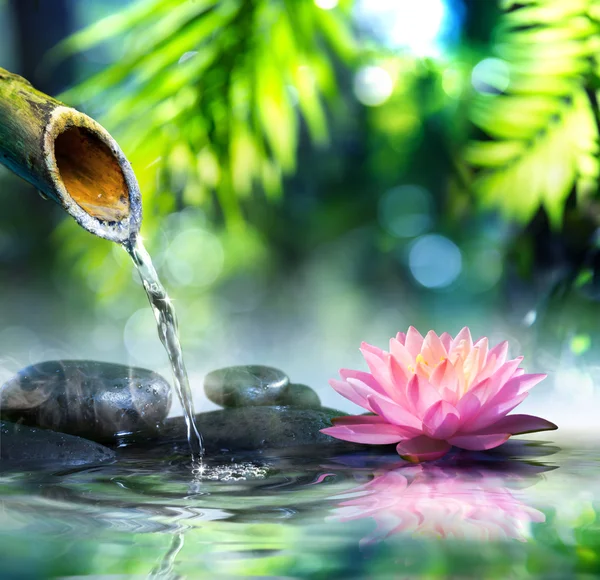 Zen garden with black stones and pink waterlily — Stock Photo, Image