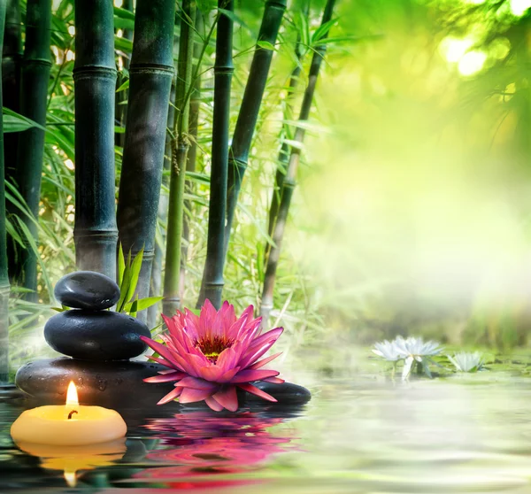 Massage in nature - lily, stones, bamboo - zen concept — Stock Photo, Image