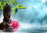 Buddha v meditaci
