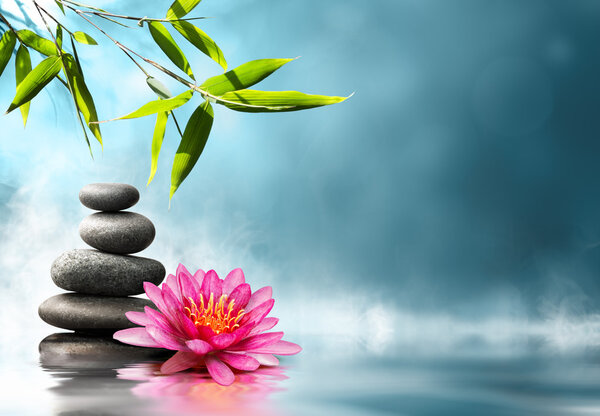 Waterlily with stones and bamboo
