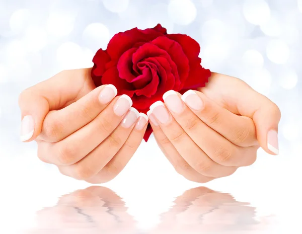 French manicure with red rose on water — Stock Photo, Image