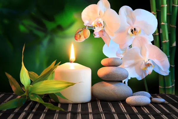 Spa samenstelling: Witte orchidee, kaars en stenen in het groen — Stockfoto