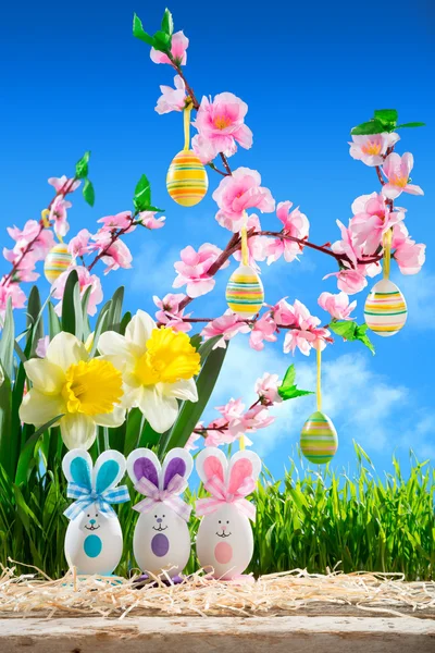 Húsvéti nyulak peach blossom és nárcisz — Stock Fotó